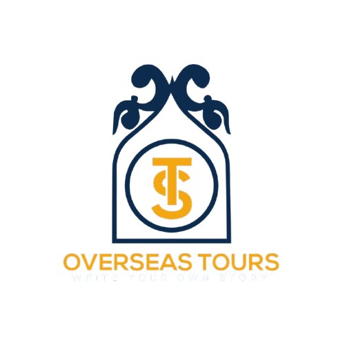 OVERSEAS TOURS Dark Logo